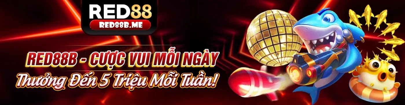 Giao diện công cụ Kubet hỗ trợ cá cược thể thao