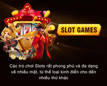Hình ảnh người chơi thành công 2